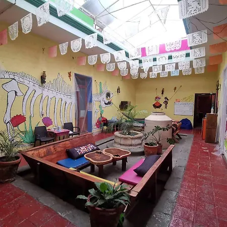 Iguana Hostel Oaxaca-2